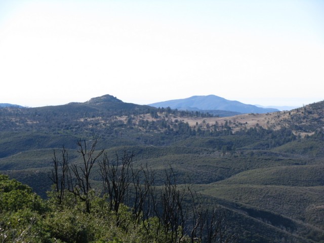 Near the park boundary looking at the back of Oakzanita Peak
