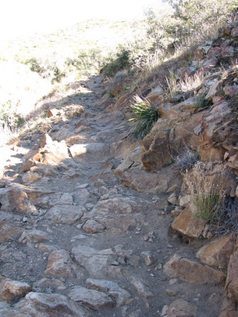 A rocky patch along the Noble Canyon Trail