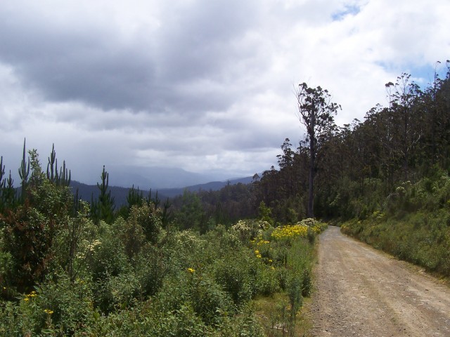 Serious rain clouds on the horizon, but flower-lined trails; who could ask for more?