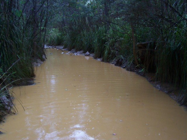 Trail? More like river! The climb up and over the Wellington range didn't disappoint in terms of challenges.