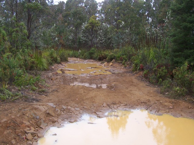 The top of the Mt Wellington range proved a haven for 4WD trails – a visit in the car next time?