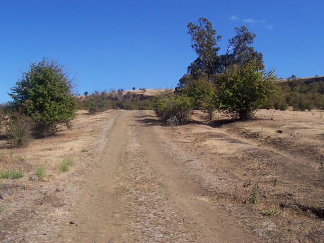 Farm trails near Glenora.