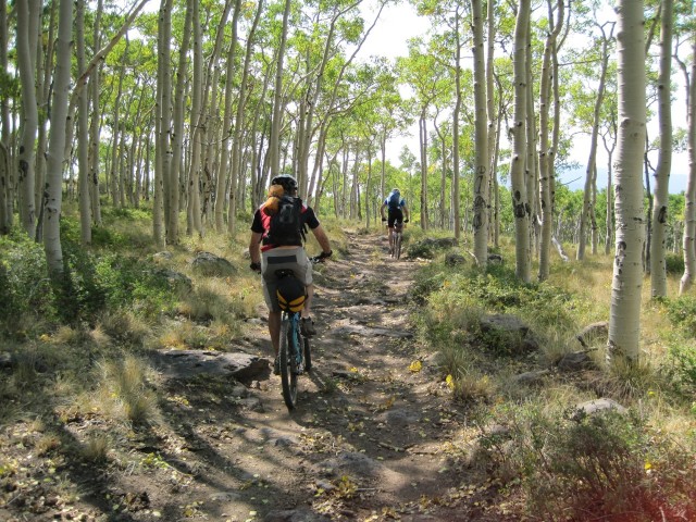 Aspens