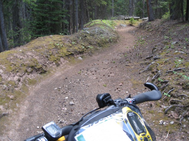 Flume trail on Gold Dust