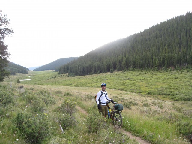 Colorado Trail meadow