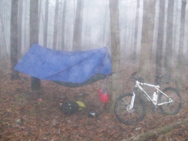 2nd morning wet and foggy