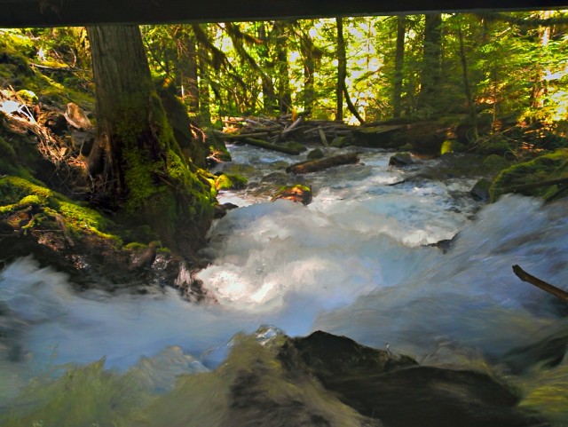 2013-07-07_11-44-11_HDR