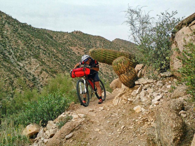 The Gila can be a dangerous place if you're not paying attention!!