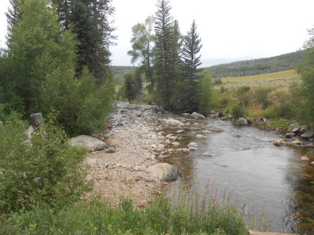 Creek on Hike