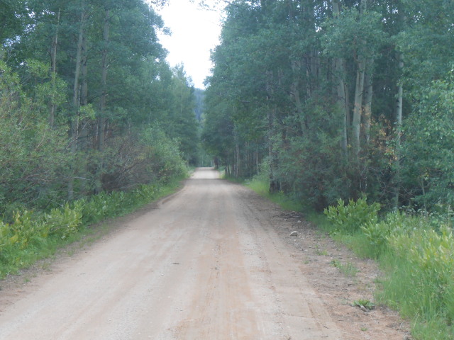 Road up to Lynx