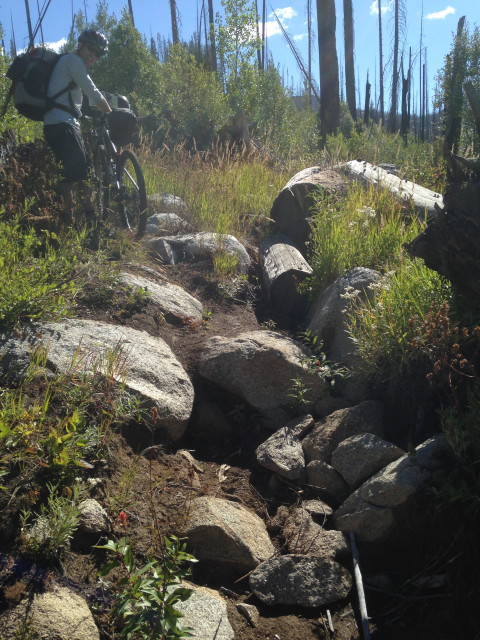 rocks in the trail